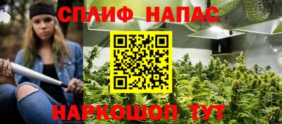 ешки Ставрополь