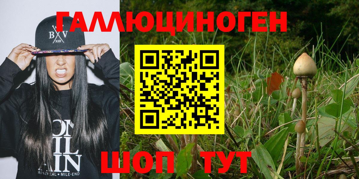 Павловский Посад  купить наркотики цена  Вход с VPN  Псилоцибиновые грибы Cubensis 